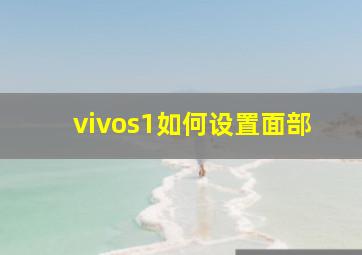 vivos1如何设置面部