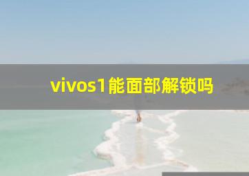 vivos1能面部解锁吗