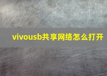 vivousb共享网络怎么打开