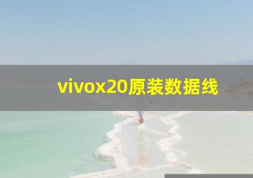 vivox20原装数据线