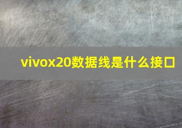 vivox20数据线是什么接口