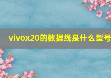 vivox20的数据线是什么型号