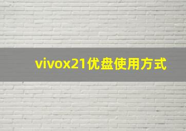 vivox21优盘使用方式