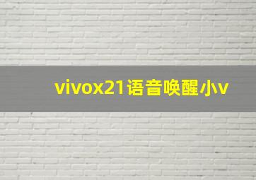 vivox21语音唤醒小v