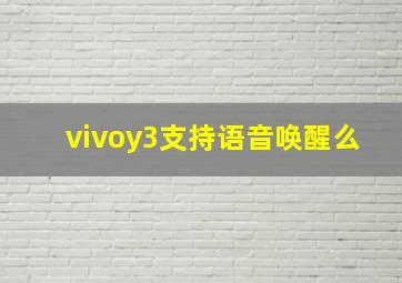 vivoy3支持语音唤醒么