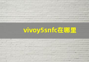 vivoy5snfc在哪里