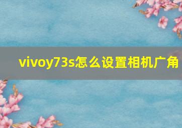 vivoy73s怎么设置相机广角