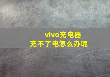 vivo充电器充不了电怎么办呢