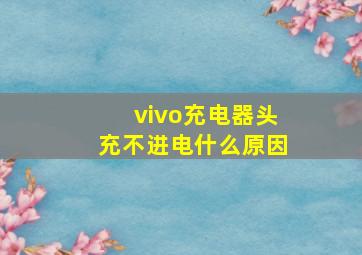 vivo充电器头充不进电什么原因