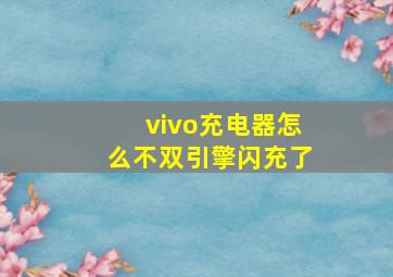 vivo充电器怎么不双引擎闪充了