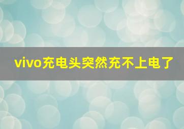 vivo充电头突然充不上电了