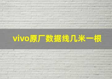 vivo原厂数据线几米一根