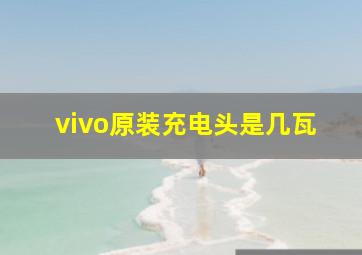 vivo原装充电头是几瓦