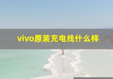 vivo原装充电线什么样