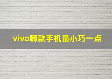 vivo哪款手机最小巧一点