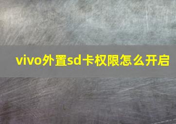 vivo外置sd卡权限怎么开启