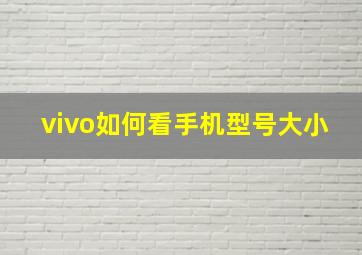 vivo如何看手机型号大小