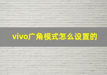 vivo广角模式怎么设置的