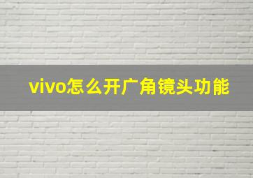 vivo怎么开广角镜头功能