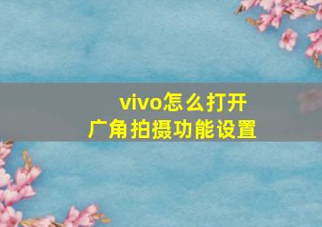 vivo怎么打开广角拍摄功能设置