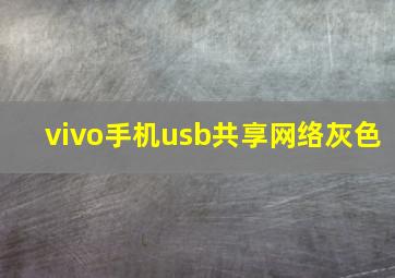 vivo手机usb共享网络灰色