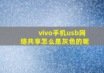 vivo手机usb网络共享怎么是灰色的呢