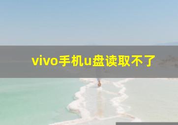 vivo手机u盘读取不了