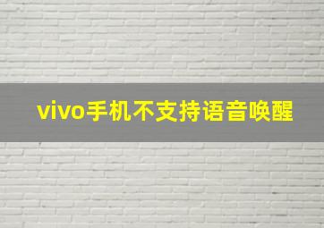 vivo手机不支持语音唤醒