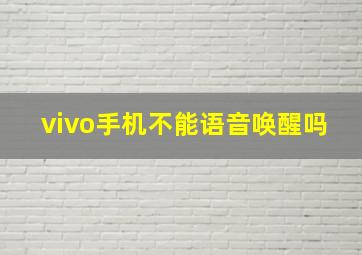 vivo手机不能语音唤醒吗