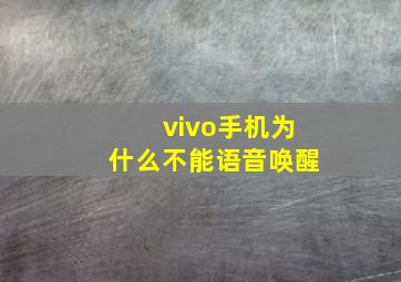 vivo手机为什么不能语音唤醒