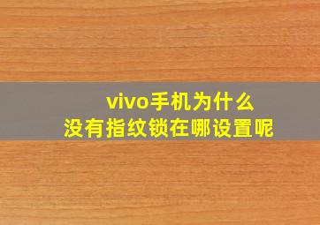 vivo手机为什么没有指纹锁在哪设置呢