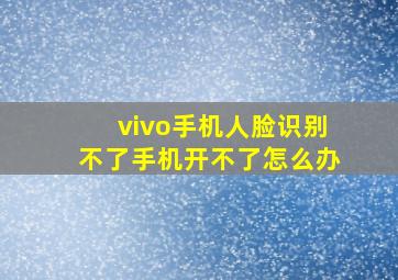 vivo手机人脸识别不了手机开不了怎么办