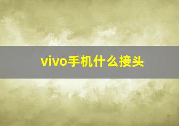 vivo手机什么接头