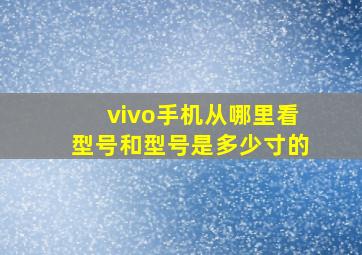 vivo手机从哪里看型号和型号是多少寸的