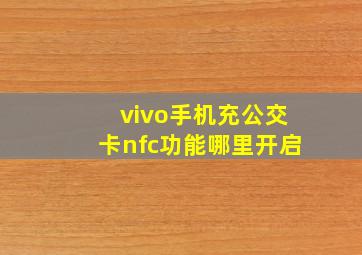 vivo手机充公交卡nfc功能哪里开启