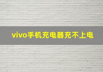 vivo手机充电器充不上电