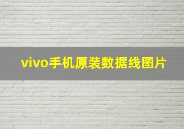 vivo手机原装数据线图片