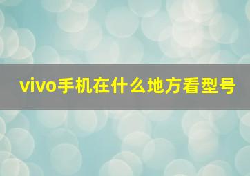 vivo手机在什么地方看型号