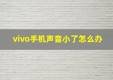 vivo手机声音小了怎么办