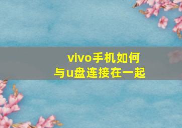 vivo手机如何与u盘连接在一起