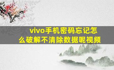 vivo手机密码忘记怎么破解不清除数据呢视频