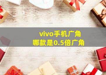 vivo手机广角哪款是0.5倍广角