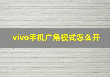 vivo手机广角模式怎么开