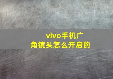 vivo手机广角镜头怎么开启的