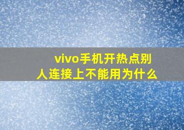 vivo手机开热点别人连接上不能用为什么