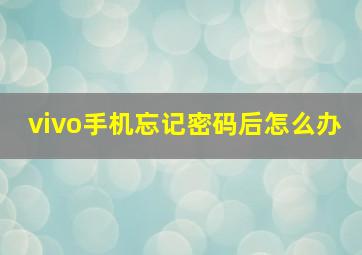 vivo手机忘记密码后怎么办