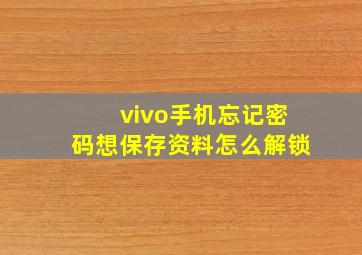 vivo手机忘记密码想保存资料怎么解锁