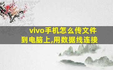 vivo手机怎么传文件到电脑上,用数据线连接