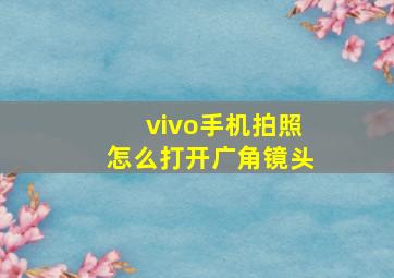 vivo手机拍照怎么打开广角镜头