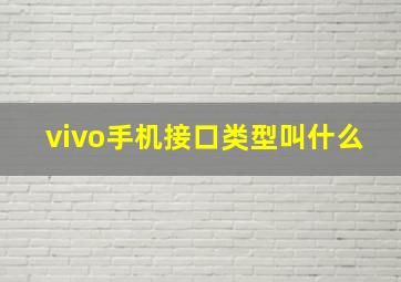 vivo手机接口类型叫什么